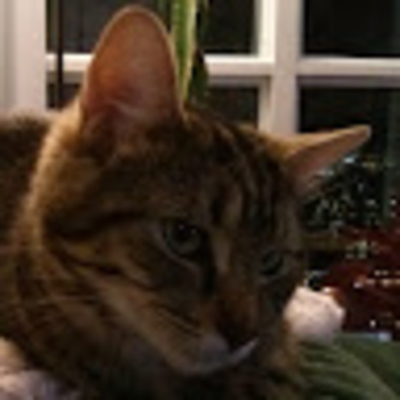 Meet your Posher, Manew - Picture 1 of 1